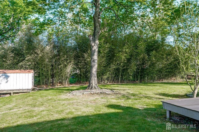 12 Sherry Rd, East Brunswick, NJ 08816 - view of grassy yard with a storage shed and an outdoor structure
