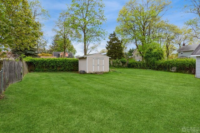 view of yard with a shed