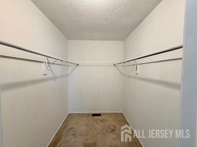 21 Rice Run, East Brunswick, NJ 08816 - walk in closet featuring carpet flooring