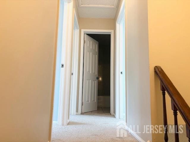 21 Rice Run, East Brunswick, NJ 08816 - hallway with carpet and baseboards