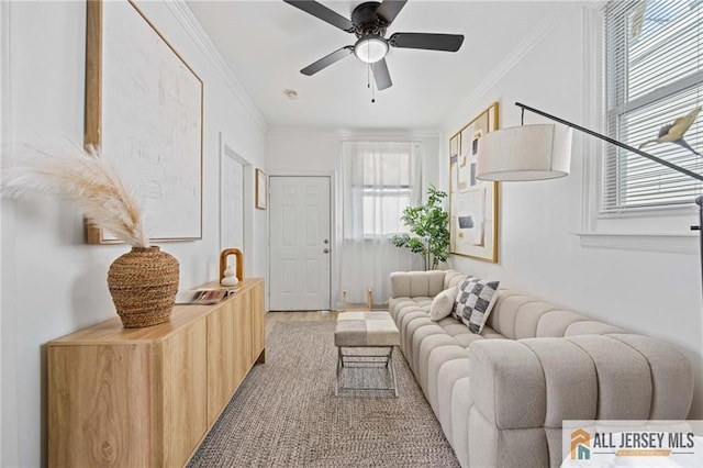 living area featuring ceiling fan and ornamental molding