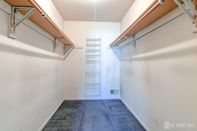 38 Silver Holw, North Brunswick, NJ 08902 - walk in closet featuring carpet flooring
