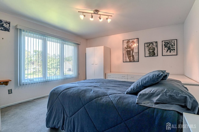 38 Silver Holw, North Brunswick, NJ 08902 - carpeted bedroom with multiple windows
