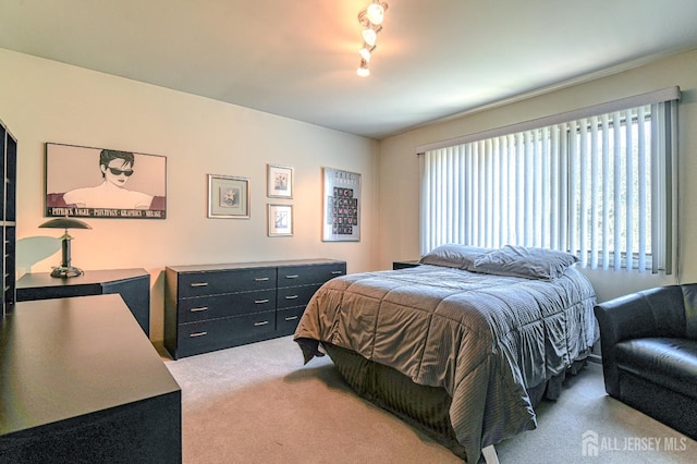 38 Silver Holw, North Brunswick, NJ 08902 - bedroom with light carpet and track lighting