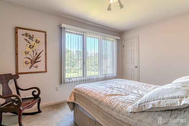 38 Silver Holw, North Brunswick, NJ 08902 - carpeted bedroom featuring multiple windows and baseboards