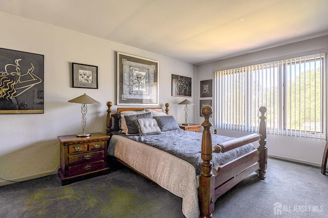 38 Silver Holw, North Brunswick, NJ 08902 - view of carpeted bedroom