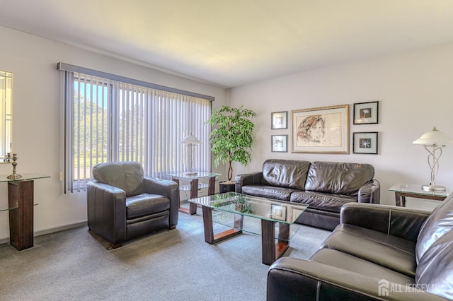 38 Silver Holw, North Brunswick, NJ 08902 - carpeted living area with healthy amount of natural light and baseboards