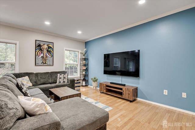 living room with wood-type flooring and crown molding