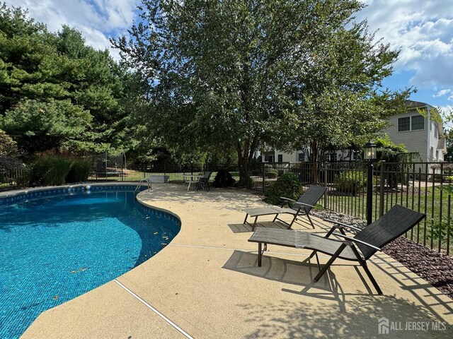 view of pool featuring a patio area and a trampoline