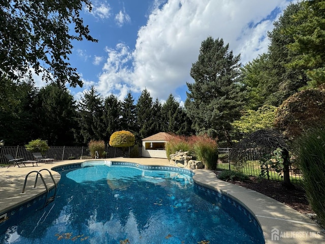 view of pool featuring a patio area