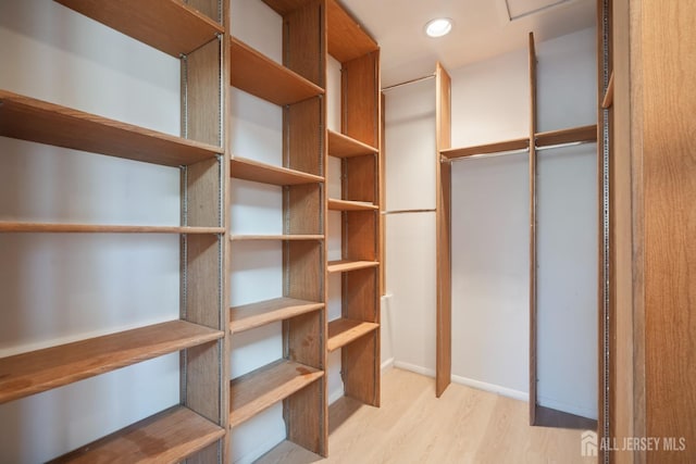 walk in closet featuring wood finished floors