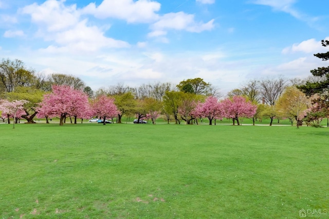 view of community featuring a yard