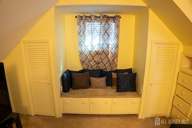 1457 George St Unit 61, Plainfield, NJ 07062 - sitting room with carpet