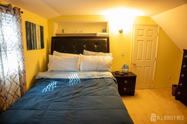 1457 George St Unit 61, Plainfield, NJ 07062 - bedroom featuring lofted ceiling and carpet flooring