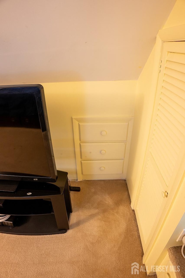 1457 George St Unit 61, Plainfield, NJ 07062 - detailed view of carpet