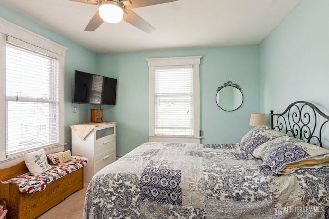 177 Hillside Ave, South River, NJ 08882 - bedroom with multiple windows, carpet floors, and a ceiling fan