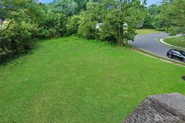6 Ryan Rd, Cranbury, NJ 08512 - photo 36