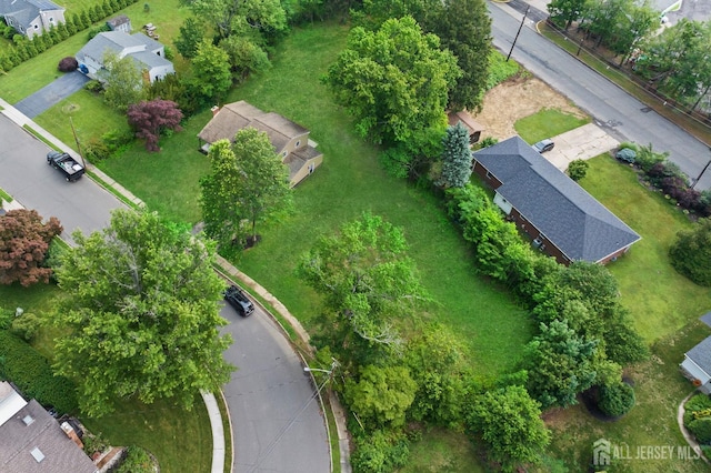 6 Ryan Rd, Cranbury, NJ 08512 - photo 37
