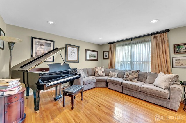 living room featuring light hardwood / wood-style flooring