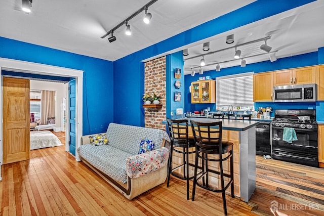 55 Suydam St, New Brunswick, NJ 08901 - kitchen with stainless steel microwave, black gas stove, track lighting, and light wood-style flooring