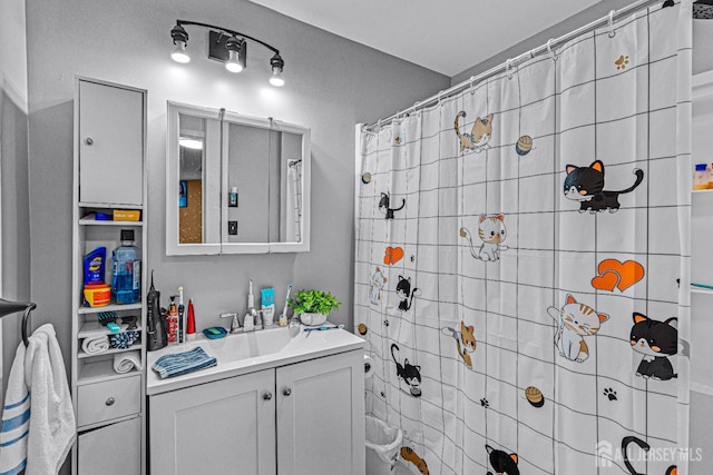 55 Suydam St, New Brunswick, NJ 08901 - bathroom with vanity and a shower with curtain