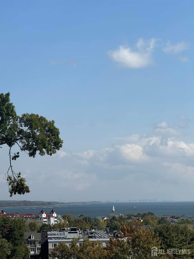 363 Ferris St, South Amboy, NJ 08879 - view of water feature