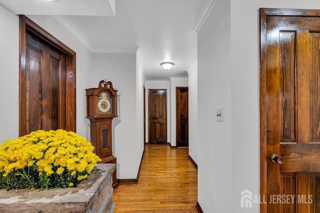 corridor with light hardwood / wood-style floors and crown molding