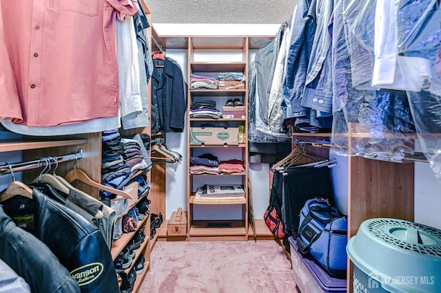 25 Sheffield Ct, North Brunswick, NJ 08902 - view of walk in closet