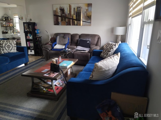 living area featuring a healthy amount of sunlight