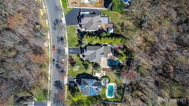 drone / aerial view