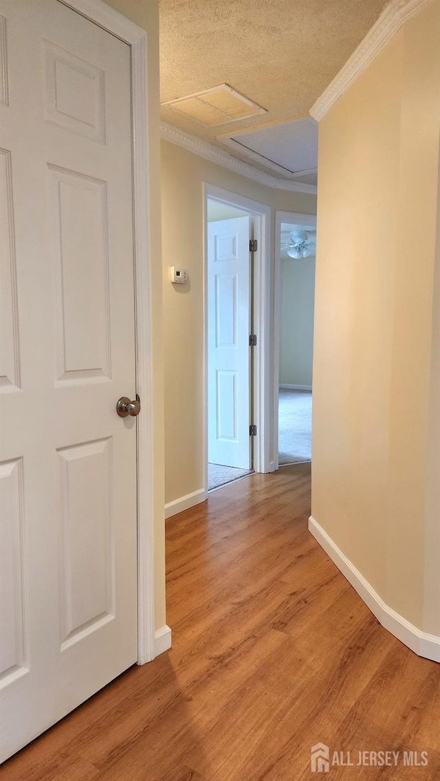 20 Brunswick Ave, Spotswood, NJ 08884 - hallway featuring ornamental molding, light wood-type flooring, attic access, and a textured ceiling