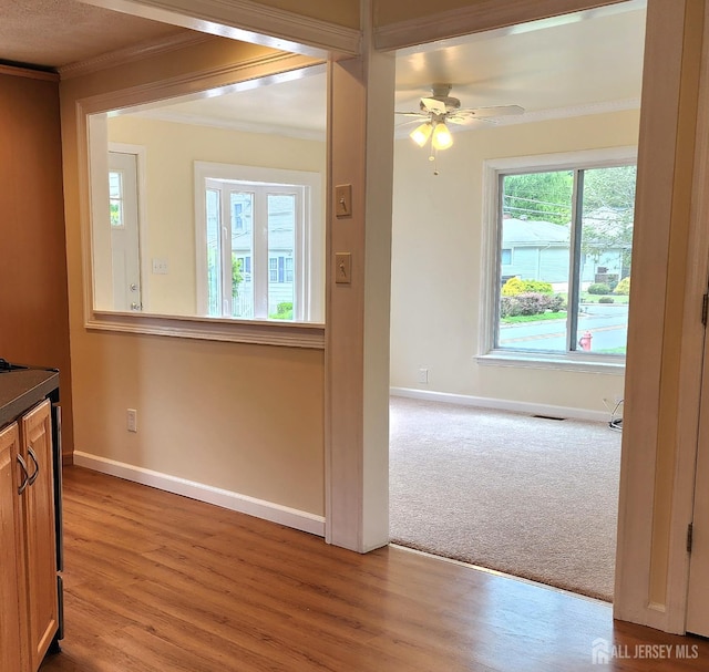 20 Brunswick Ave, Spotswood, NJ 08884 - kitchen with crown molding, plenty of natural light, wood finished floors, a ceiling fan, and dark countertops
