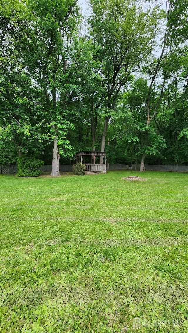 20 Brunswick Ave, Spotswood, NJ 08884 - view of grassy yard