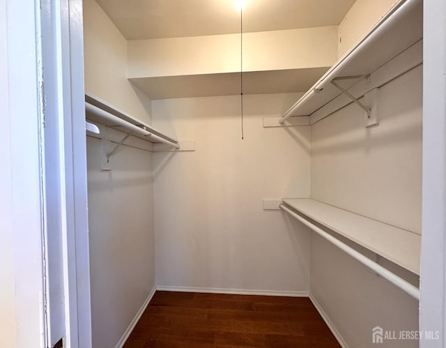 walk in closet featuring dark wood-style flooring