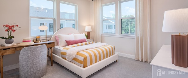 1313 Parker Blvd, West Windsor, NJ 08550 - bedroom featuring multiple windows, carpet flooring, and baseboards