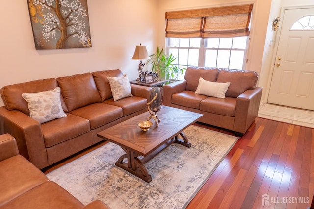 living room featuring wood-type flooring