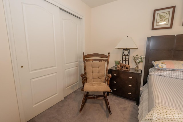 bedroom with a closet and carpet