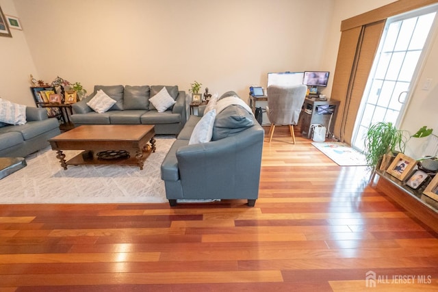 living area featuring light wood-style floors