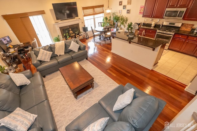 living area featuring light wood-style floors and a glass covered fireplace