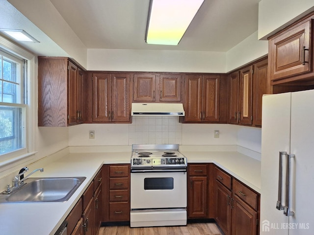 kitchen with a sink, extractor fan, white appliances, light wood-type flooring, and light countertops
