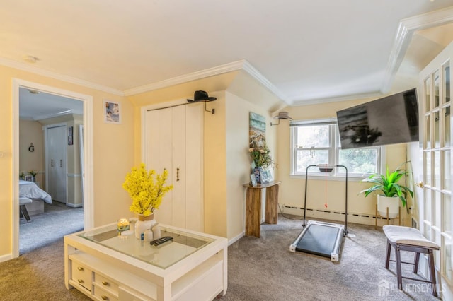 11 Cotter Dr, New Brunswick, NJ 08901 - photo 41