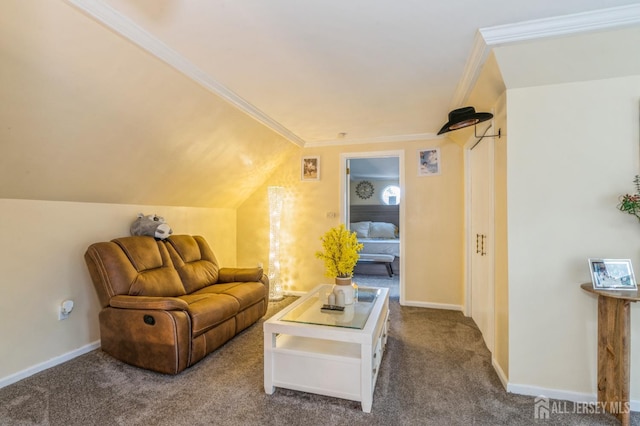 11 Cotter Dr, New Brunswick, NJ 08901 - photo 16