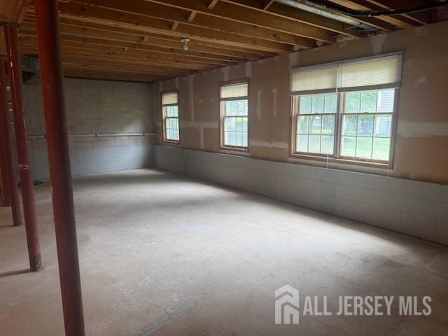 1 Cranberry Ct, South Brunswick, NJ 08540 - below grade area with concrete block wall