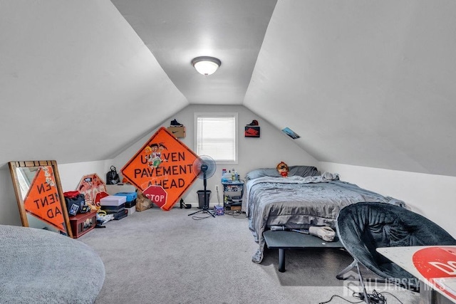 33 Altamont Rd, Edison, NJ 08817 - bedroom with lofted ceiling and carpet floors