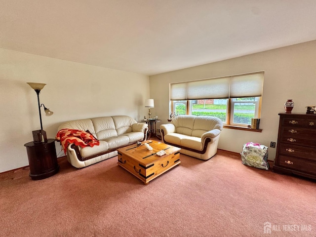 2 Jayne St, Old Bridge, NJ 08857 - view of carpeted living room