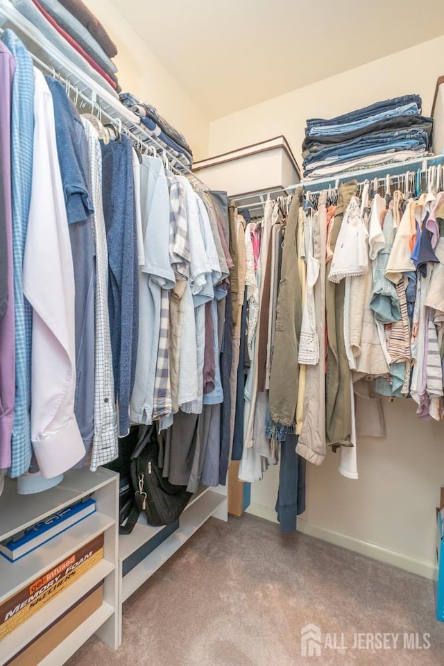 walk in closet with carpet flooring