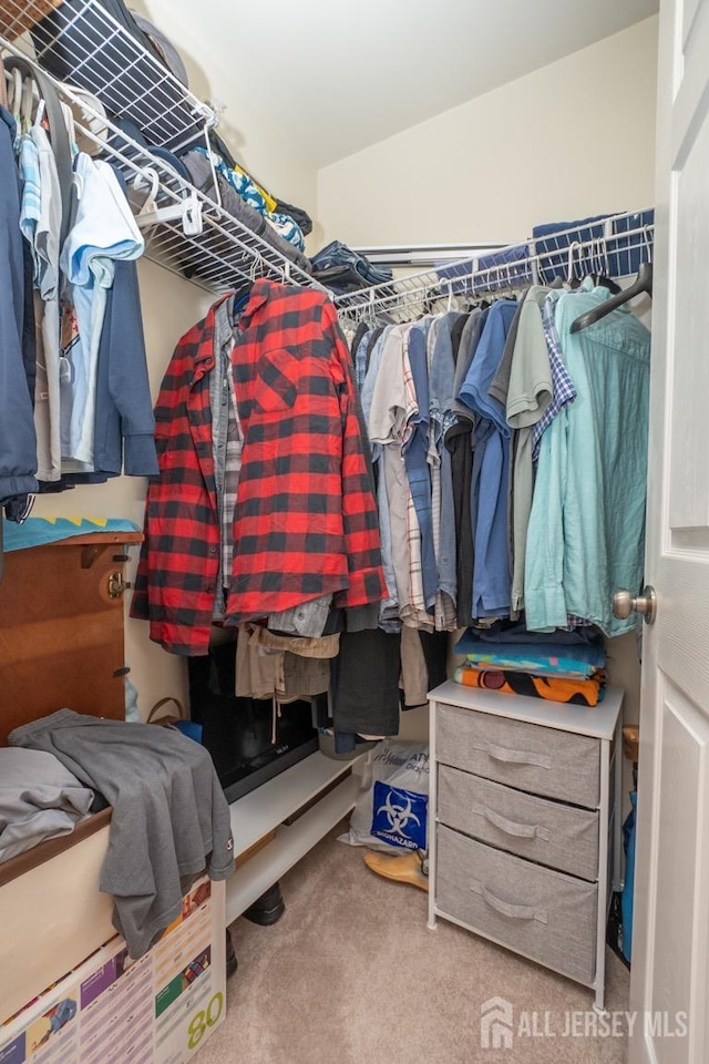 spacious closet featuring carpet floors