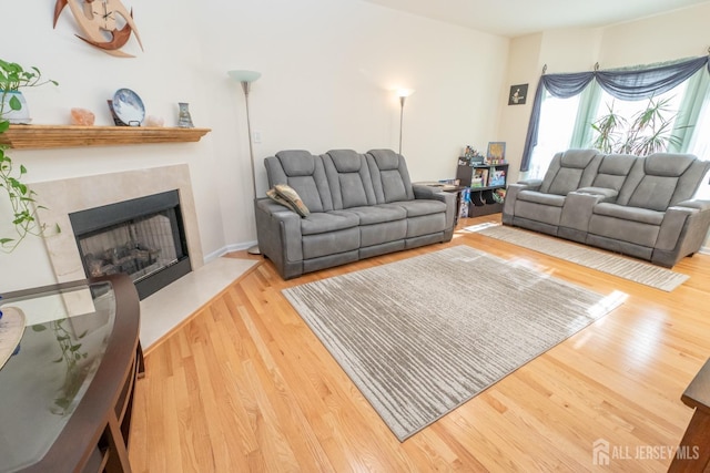 living room featuring hardwood / wood-style flooring