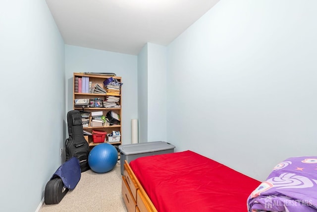 bedroom with carpet floors