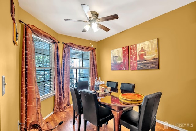 122 Salem Rd, North Brunswick, NJ 08902 - dining area with wood finished floors and a ceiling fan